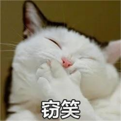 4fea1389c11313c79960ebe0919530c7-1